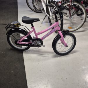 Vackert flick cykel